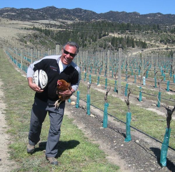 Domenic Mondillo and favourite chook head for the vineyard try line.